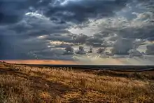 Paysage automnal avec herbe jaunie et soleil entre les nuages