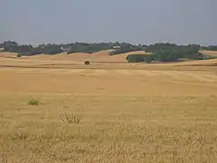 Paysage de l'Auxerrois, dans le centre.