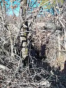 Entrée de l'aven de la Moutte au Revest-du-Bion.