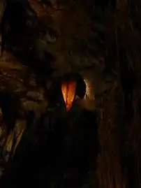 « La Langue de dragon ».