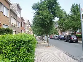 Image illustrative de l’article Avenue Jolé