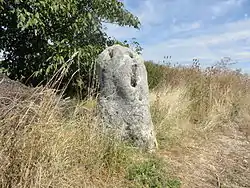 Image illustrative de l’article Menhir de Haute-Borne (Marne)