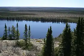 Eeyou Istchee Baie-James (municipalité)