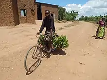 Transport de bananes en Afrique