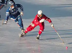 Image illustrative de l’article Bandy