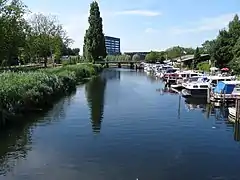 photo d'un canal bordé à gauche de verdure et à droite de bateaux