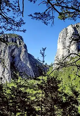 Gorges de l'Artuby à Bargème