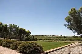 Vue de la winery Torbreck.