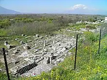 terrasse de verdure couverte de ruines rases
