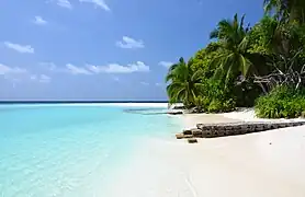 Paysage des Maldives.