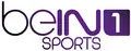Ancien logo de beIN Sports 1 du 1er janvier 2014 au 31 décembre 2015.