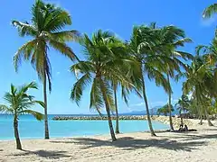 La plage de Sainte-Anne.