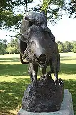 Chien attaquant un sanglier.