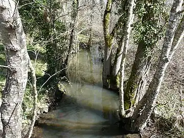 La Beauronne au lieu-dit les Planches, en limite de Saint-Jean-d'Ataux (à gauche) et Saint-Germain-du-Salembre.