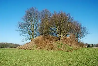 Le tumulus méridional vu du sud.
