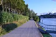 Berges du Rhône au niveau de l'avenue Général-Leclerc
