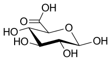 Acide glucuronique (forme β-D).