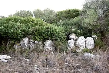 Cercle non fouillé.