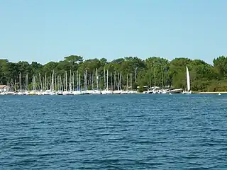 Port de plaisance à Biscarrosse