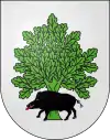 Blason