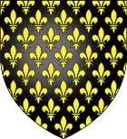 Dessin d'un blason noir couvert de fleurs de lys dorées.