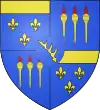 Blason Famille de Banne d'Avejan