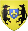 Blason de Blois