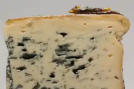 Penicillium roqueforti (bleu, Eurotiomycetes)