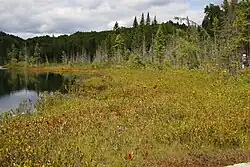 Image illustrative de l’article Lac de la Tourbière