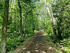 Image illustrative de l’article Boisés de la Pointe-de-Sainte-Foy