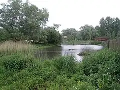 Le marais de Bonnance.