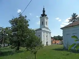 Slatina (Bor)