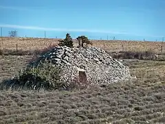 Borie dans un champ de lavande.