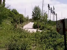 Image illustrative de l’article Bowman Lake Road