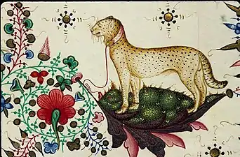 Panthère ou guépard