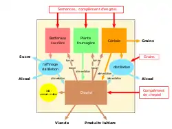 Diagramme en couleurs du schéma de fonctionnement d'une entreprise.