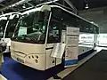 TAM Marbus midibus