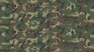 Motif de camouflage ERDL "hautes terres" à dominante brune