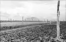 Photo en noir et blanc d'un grand nombre de poteaux en bois dans un champ.