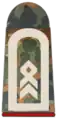 Stabsfeldwebel