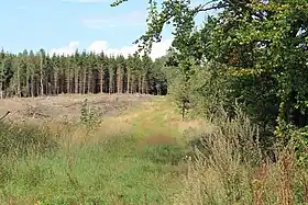 Image illustrative de l’article Chaussée romaine de Reims à Cologne