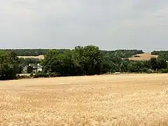 Le chemin des Carrières.