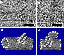 Électromicrographie en noir et blanc de nanotubes modifiés et interprétations.