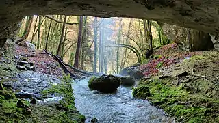 Entrée de la grotte de la Ferme des Îles.