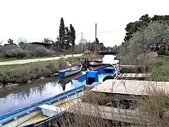 Canal Riquet entre Saint Hippolyte et l'étang Salses-Leucate, vue vers le sud.