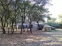 Capitelle du Grand Bois.