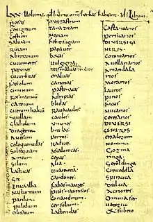 Une page du capitulaire.