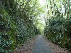 La voie verte à Carsac-Aillac.