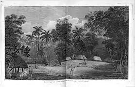 Fiatooka, cimetière de l'île de Tongataboo