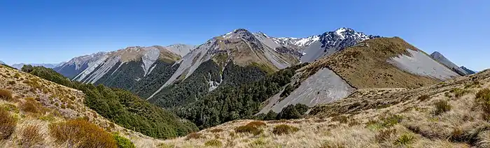 Depuis un tapis d'herbes sèches, contemplation de belles montagnes moyennes.